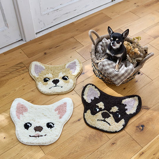 シュナウザー