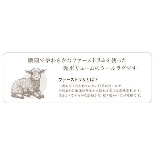 商品説明