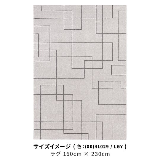 (01)41029/DGY