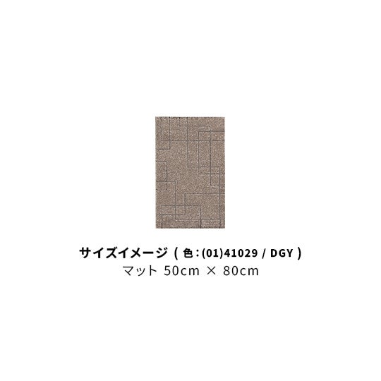 (01)41029/DGY