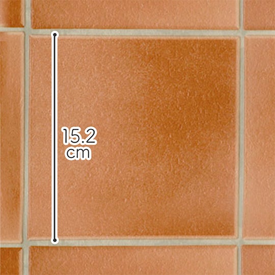 E6057