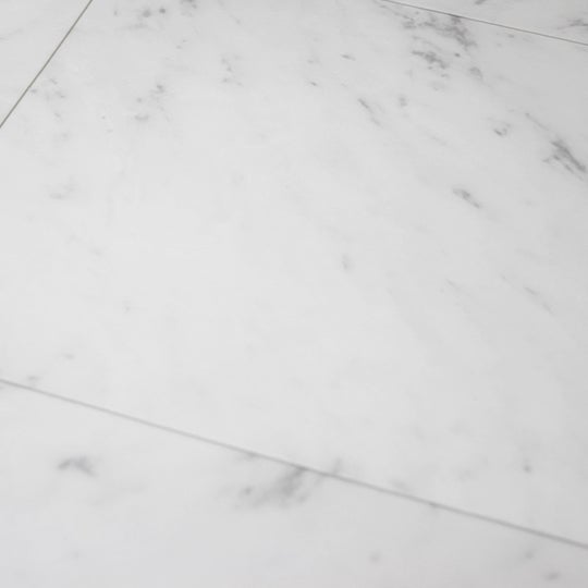 E6061