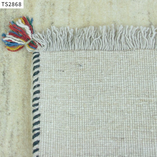TS2868