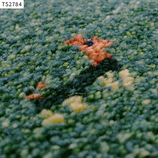 TS2784