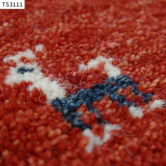TS3111