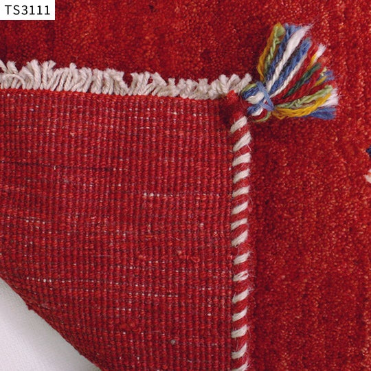 TS3111